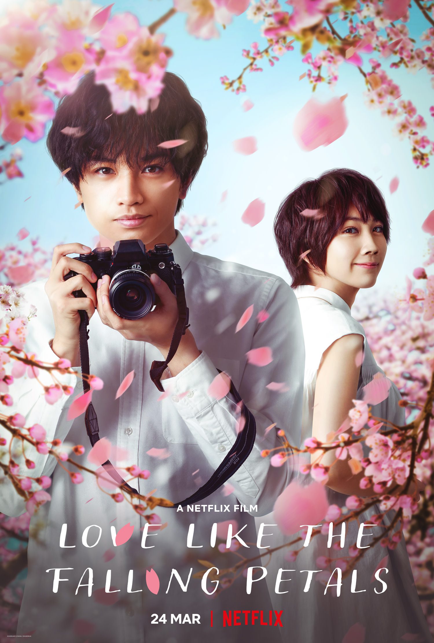 دانلود فیلم Love Like the Falling Petals 2022