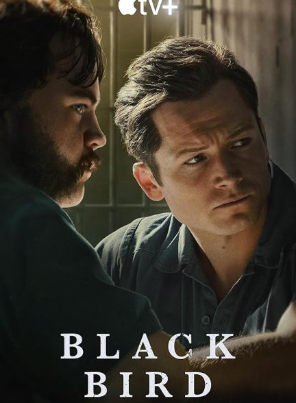 دانلود سریال Black Bird 2022
