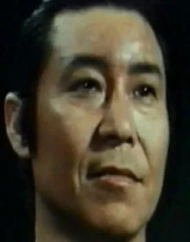 Wang Fei